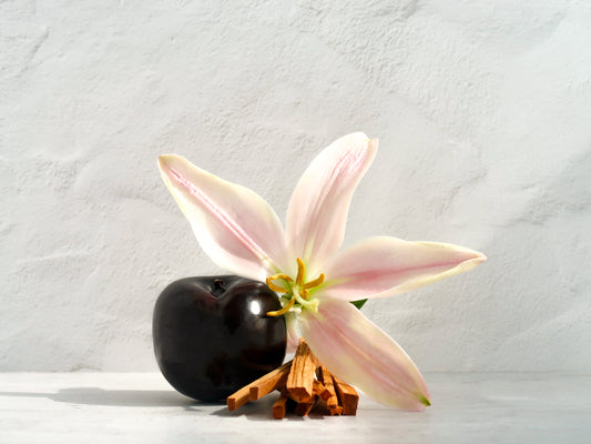 Image featuring fragrance notes in CORSET room spray. Top: Black Plum Middle: Creamy Lily Base: Sandalwood