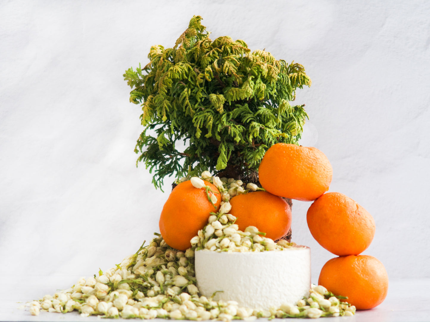 PLATFORM Hand Lotion