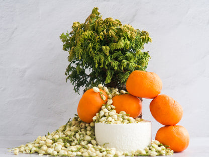 Image depicting Maison des Vibes' PLATFORM fragrance notes. Top: Mandarin Middle: Jasmine Base: Golden Hinoki.