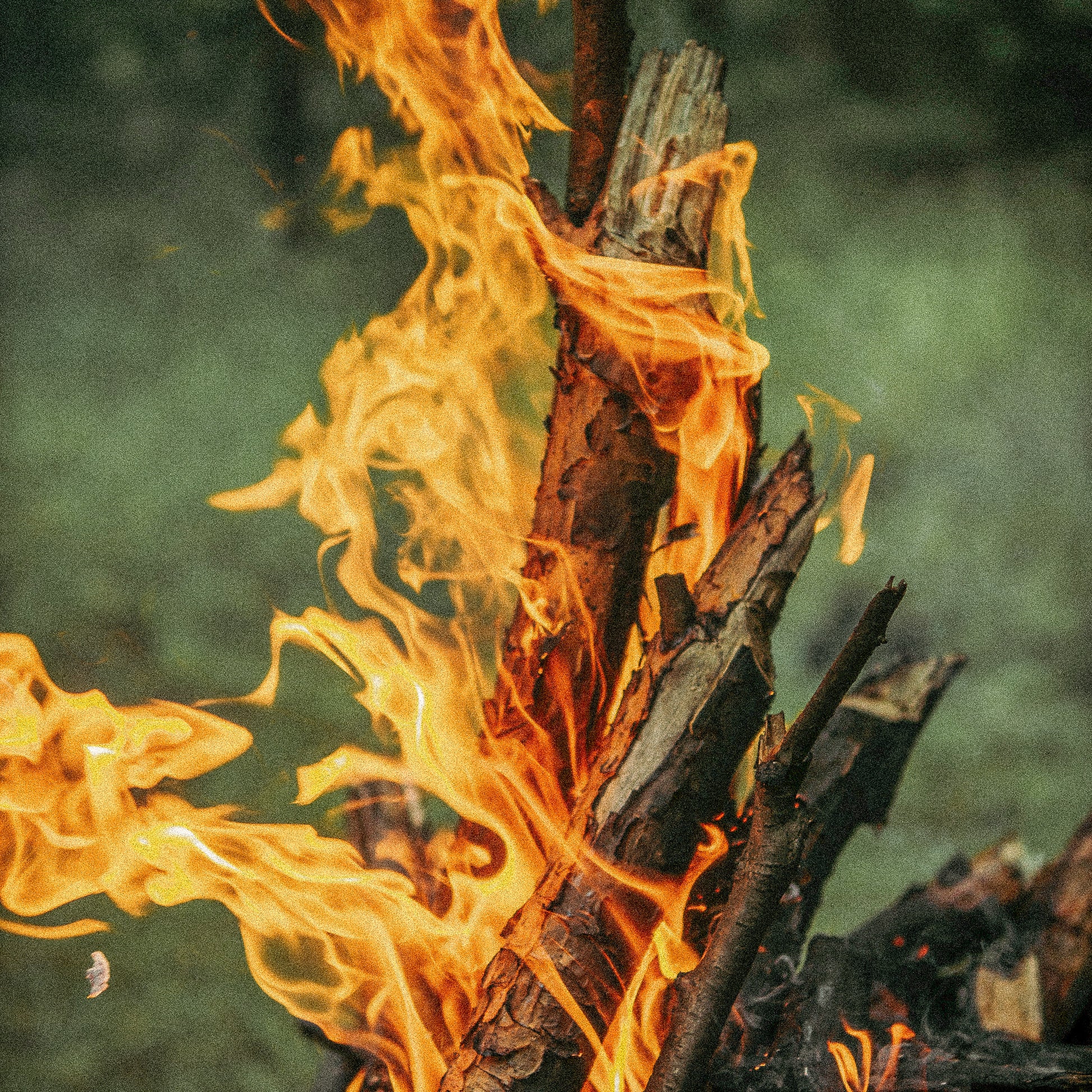 Maison des Vibes CAMP Room Spray. Notes Top: Bergamot, Elemi Heart: Beeswax, Tobacco, Sage Base: Myrrh, Patchouli. Relish in CAMP and let your imagination run wild with stories of past adventures and dreams of future escapades.